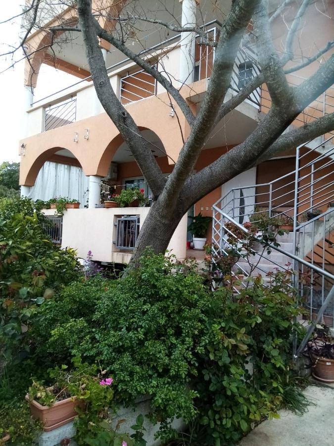 Apartments Vanja Skara Biograd Biograd Na Moru Exterior foto